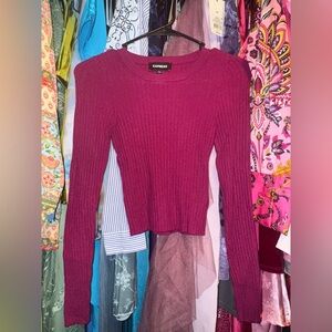 Express Fuchsia Knit Sweater